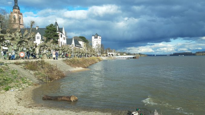 Eltville erneuert Rheinufergeländer und verbindet historischen Bestand mit moderner Sicherheit