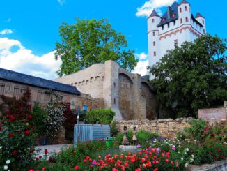 Frühjahrsworkshop: Eltville bietet praktischen Rosenschnittkurs in der Kurfürstlichen Burg