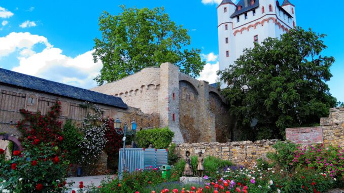 Frühjahrsworkshop: Eltville bietet praktischen Rosenschnittkurs in der Kurfürstlichen Burg